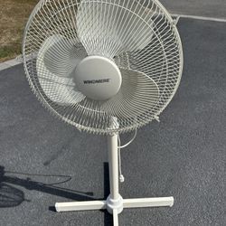 Fan