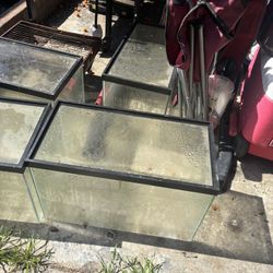 4 Rimless 10 Gallon Tanks