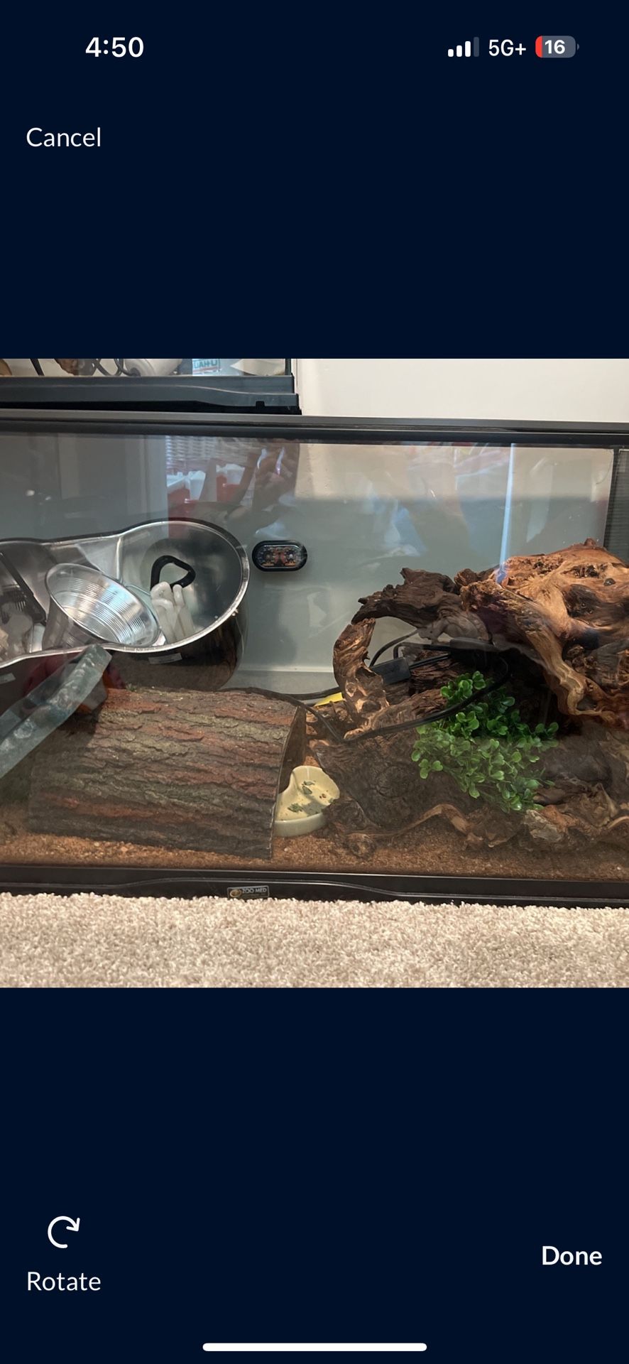 40 Gallon Reptile Tank