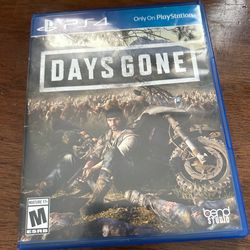 Days Gone perfect condition