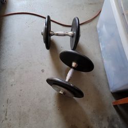 25 Pound Dumbbells 