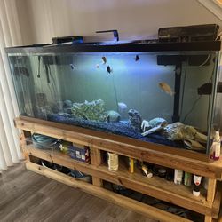 150 Gallon Fish Tank 🐠  $650