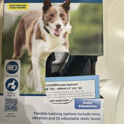 Big Dog Remote Trainer