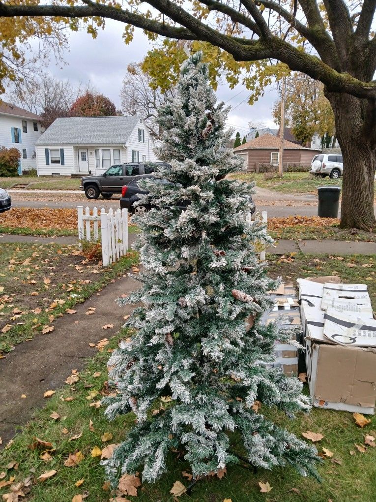 Christmas TREES TREES!