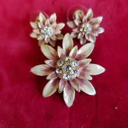 Cute Set w/Earrings & Pin/Brooch