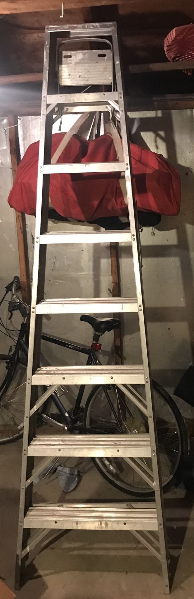 10 Foot Aluminum Ladder