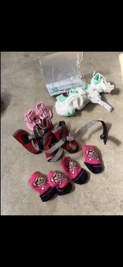 Pet shoes bundle