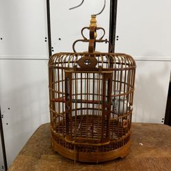 Bird Cage Bamboo 