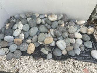 Large Decorative Pebbles