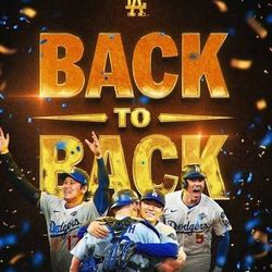 Dodger Stadium Celebration **PARKING PASS**