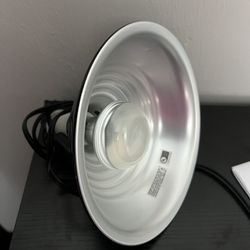 Lamp For Reptile 