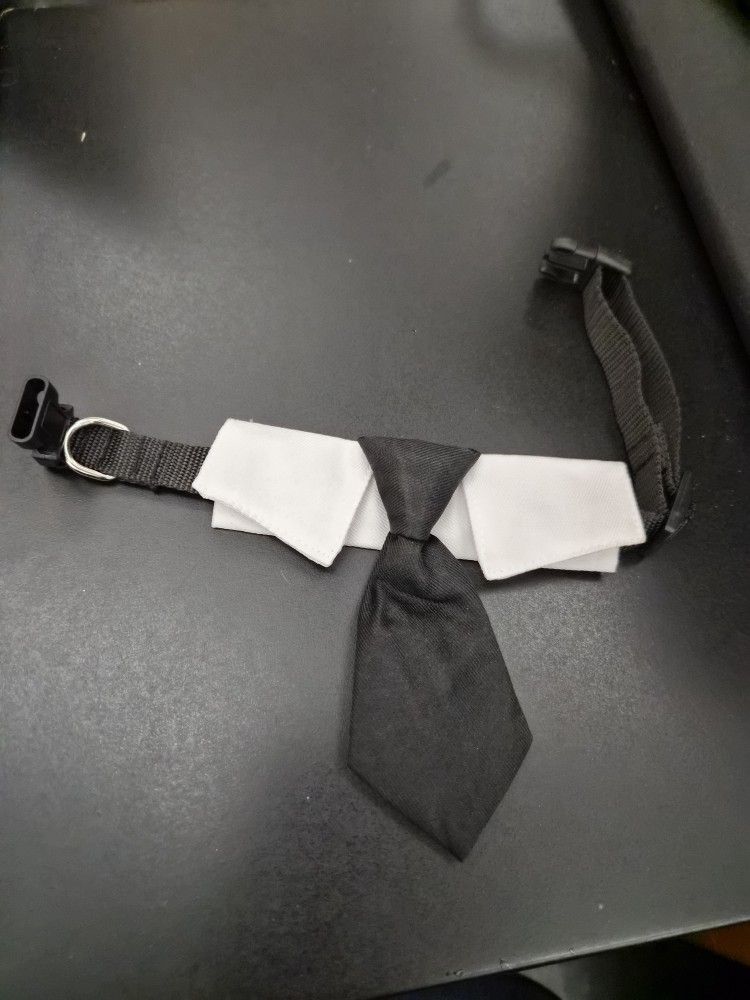 Dog Necktie And Collar (Small)
