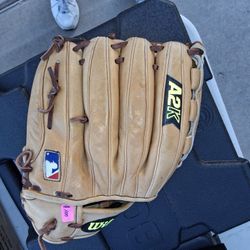 Professional Baseball Glove Excellent Condition $100