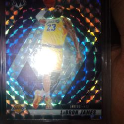 Big Sports Card Collection