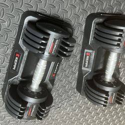Adjustable Dumbells Set