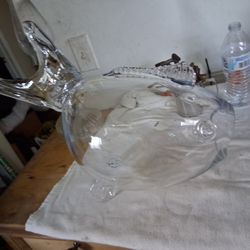Glass Fish