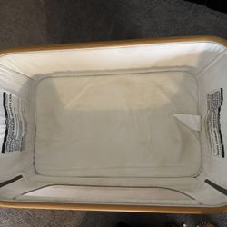 Bassinet