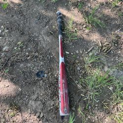 Bat