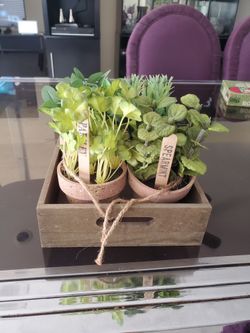 Artificial spices in small Wood crate decor