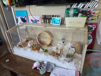 Hamster cage and supplies