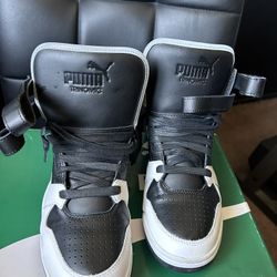 Puma 