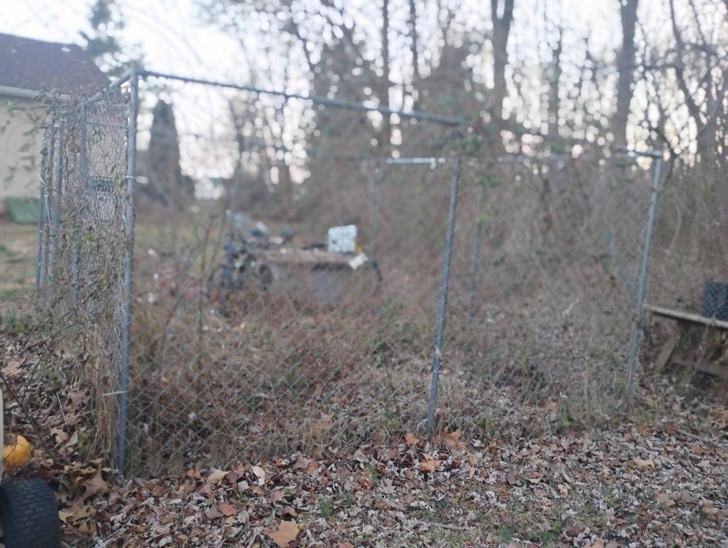 Dog Cage