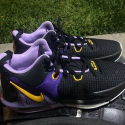 LeBron James, witness seven Lakers Size 13