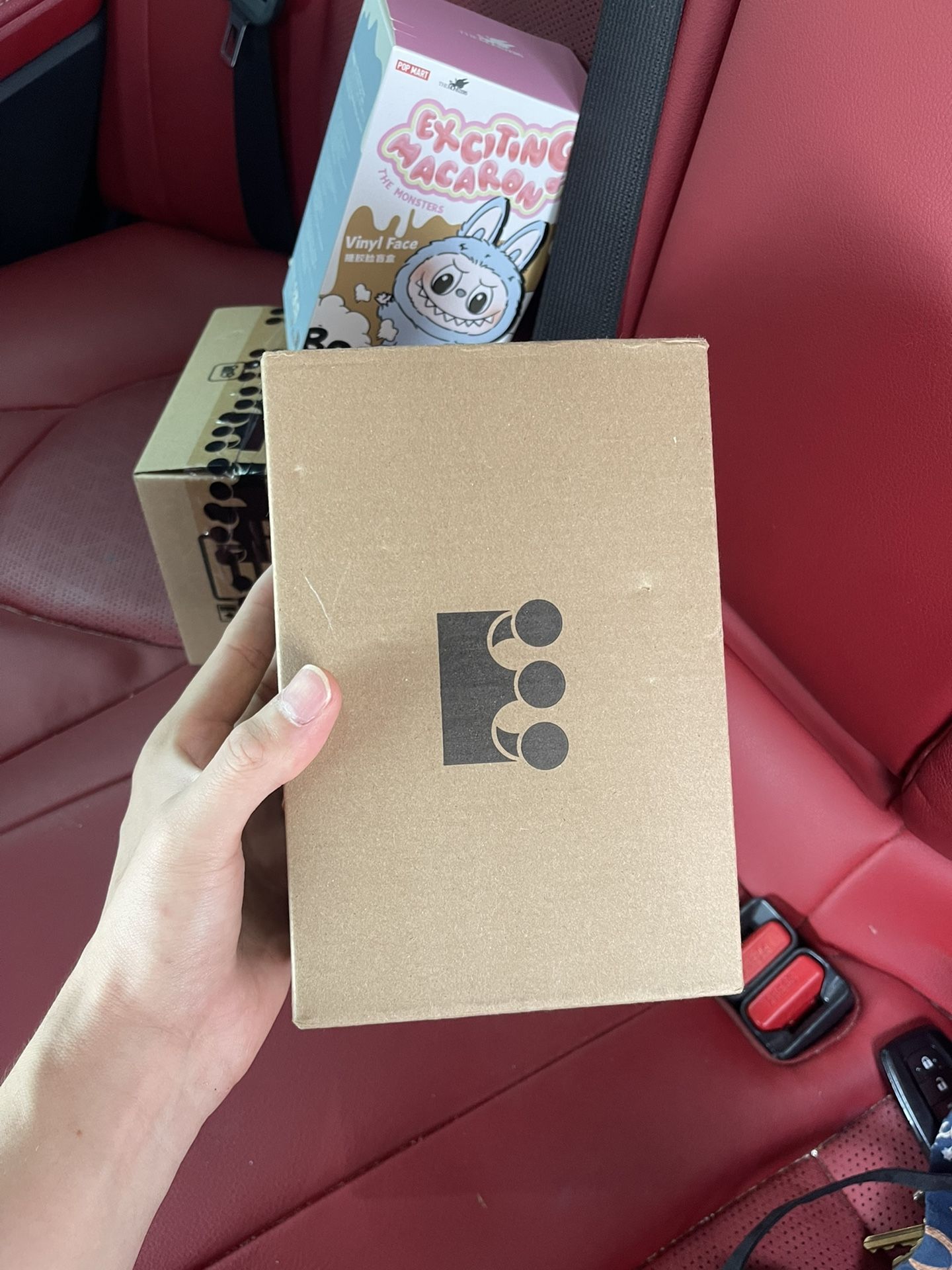 Exciting Macaroon Labubu 