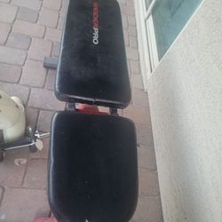 Gym Workout Bench