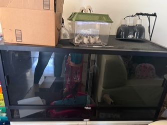 Reptile Habitat