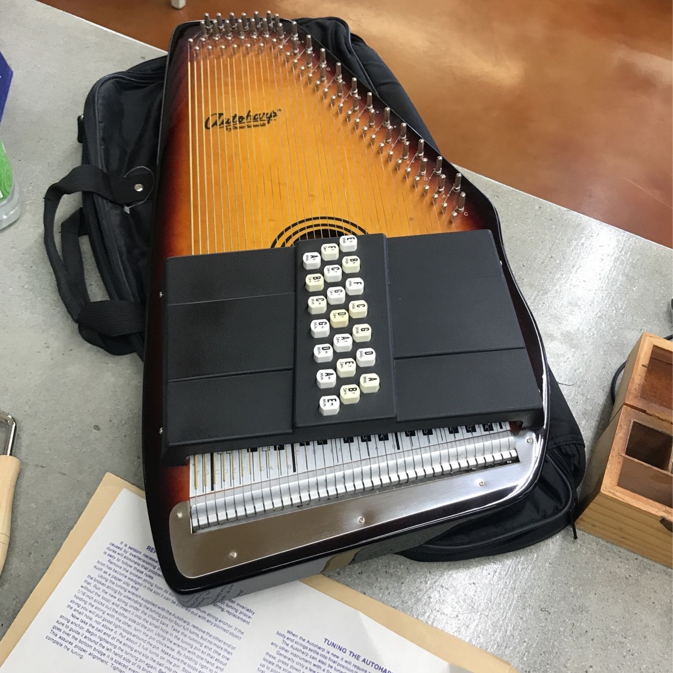 Autoharp Oscar Schmidt OS-21c With Case In Great Condition for