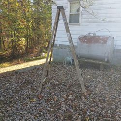 Werner Fiberglass Ladder