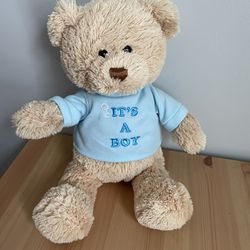 Gund Plush Gender Reveal ITS A BOY Teddy Bear in Blue T-Shirt Stuffed Animal 12"