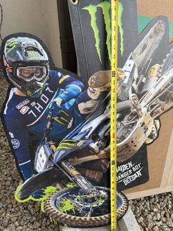 Hayden Deagan Monster Cut Out