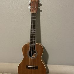 Ukulele 