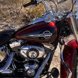 Harley FLSTC