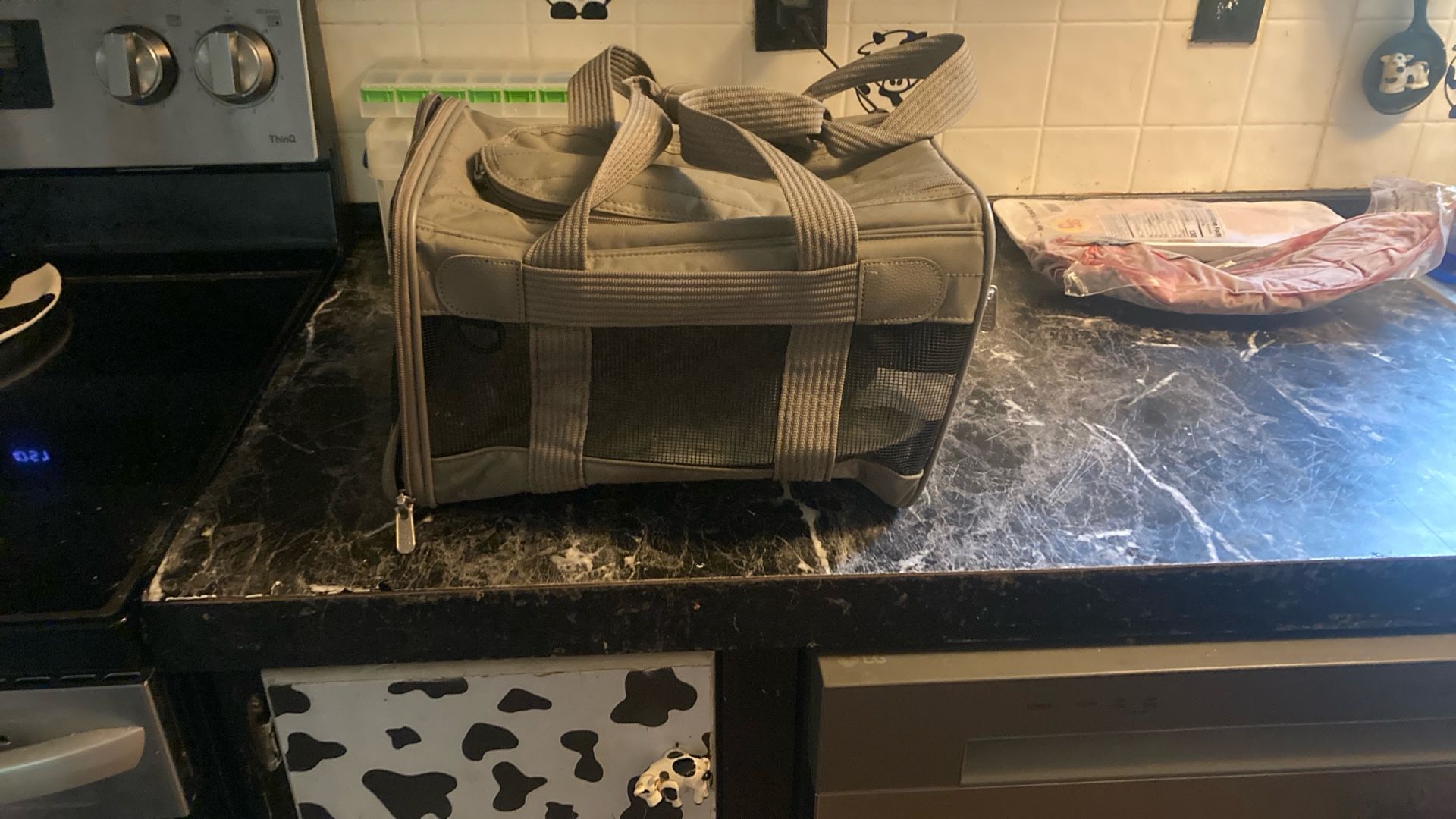 Free Small Pet Carrier