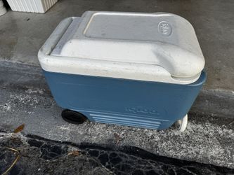 Igloo Plastic Cooler