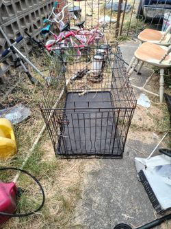 Dog or animal cage with bottom tray. Measurements are 35 1/2 long. 22 1/2 wide. 24 inches high