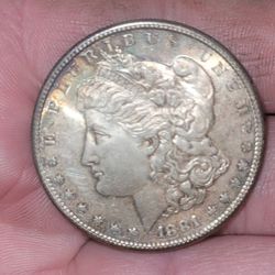 2 Morgan Silver Dollars 