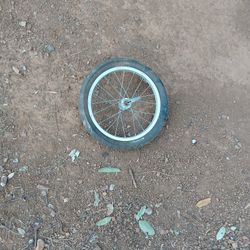 16 Inch Bicycle Wheel 