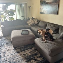 Moving Sale: U-shaped Couch And Ottoman