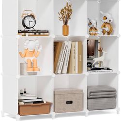 Cube Storage Organizer