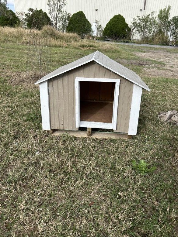 Dog House 