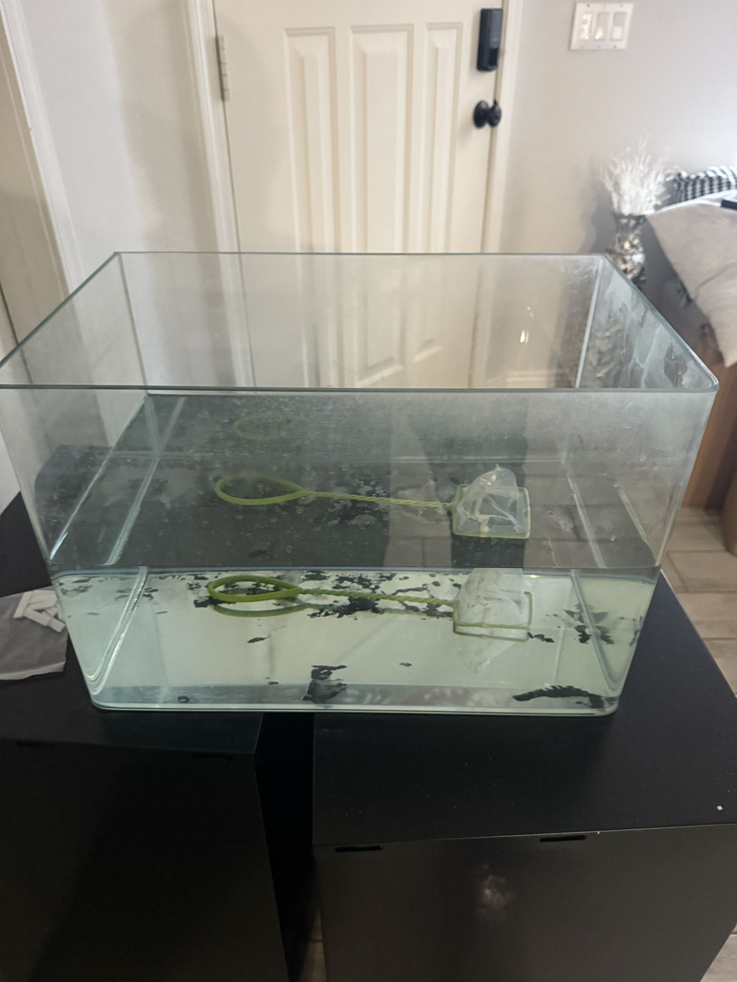 Fish Tank