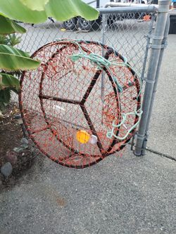 Crab Pot