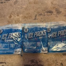 Everlasting Ice Rx 4 Ice Pack 