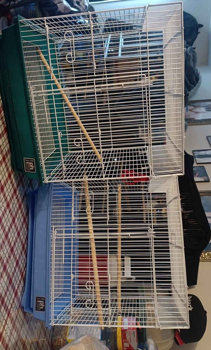 Jaula De Pajaros