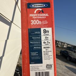 Werner 8FT TYPE IA FIBERGLASS D-RUNG STRAIGHT LADDER D6208-1