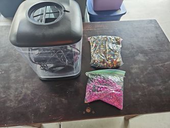 1 Gallon Aquarium Tank Complete